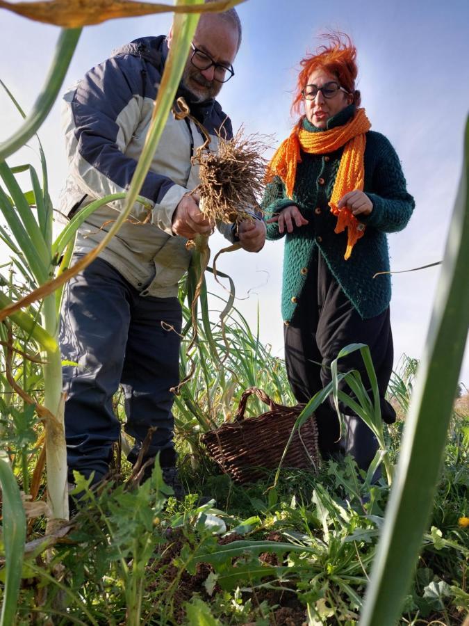 Turismo Rural La Ojinegra Alloza Luaran gambar