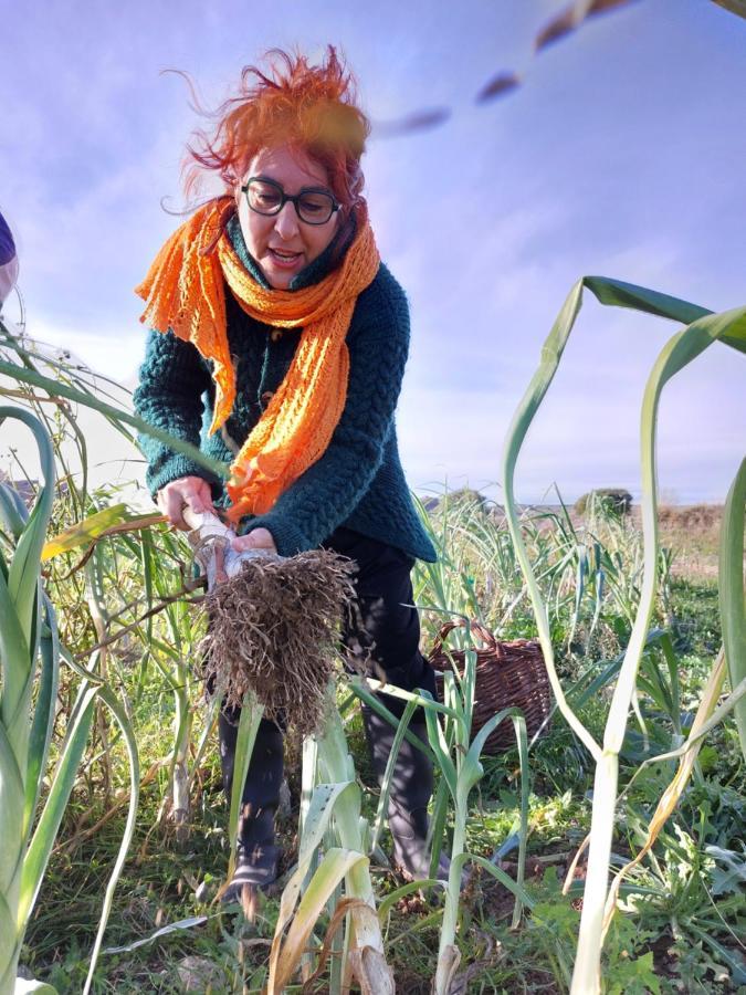 Turismo Rural La Ojinegra Alloza Luaran gambar